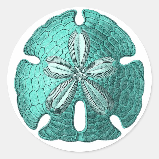 Sticker Rond Dollar Aqua Sand (Devant)
