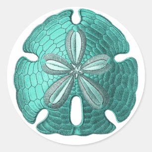 Sticker Rond Dollar Aqua Sand