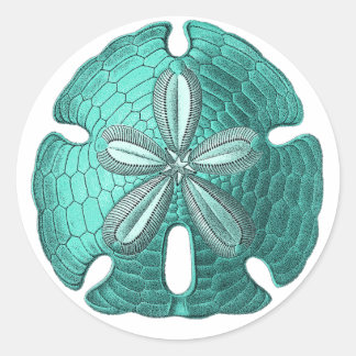 Sticker Rond Dollar Aqua Sand