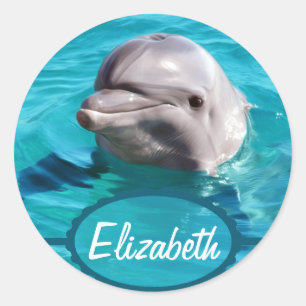 Sticker Rond Dolphin dans Blue Water Photo