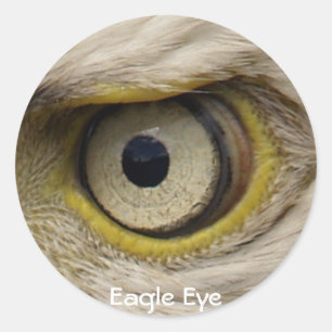 Sticker Rond Don d'aigle