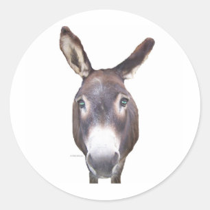 Sticker Rond Donkey dans votre visage