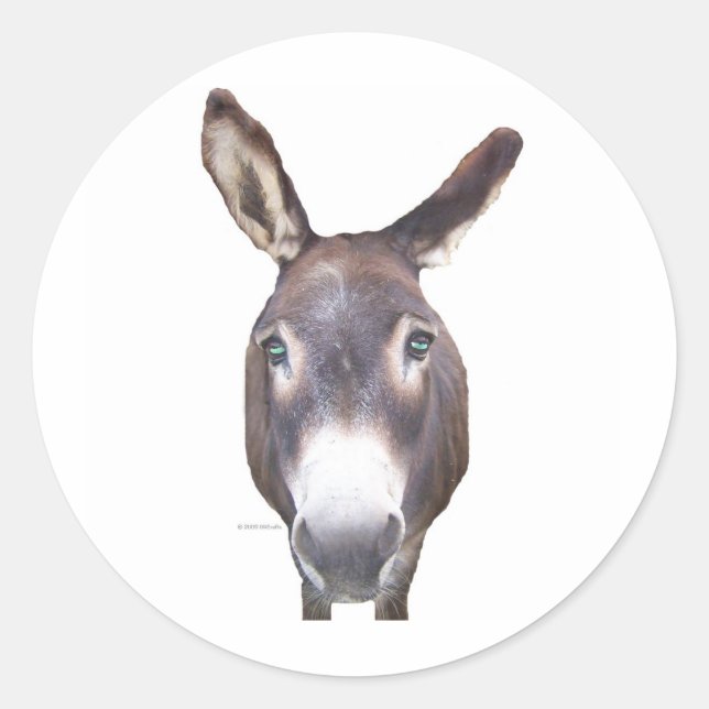 Sticker Rond Donkey dans votre visage (Devant)