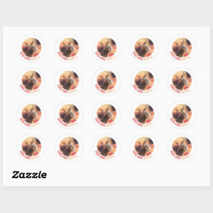 Sticker Rond Donkey hurlant - Good Vibes seulement