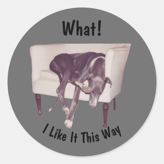 Sticker Rond Dormir Greyhound En Chaise Drôle (Devant)