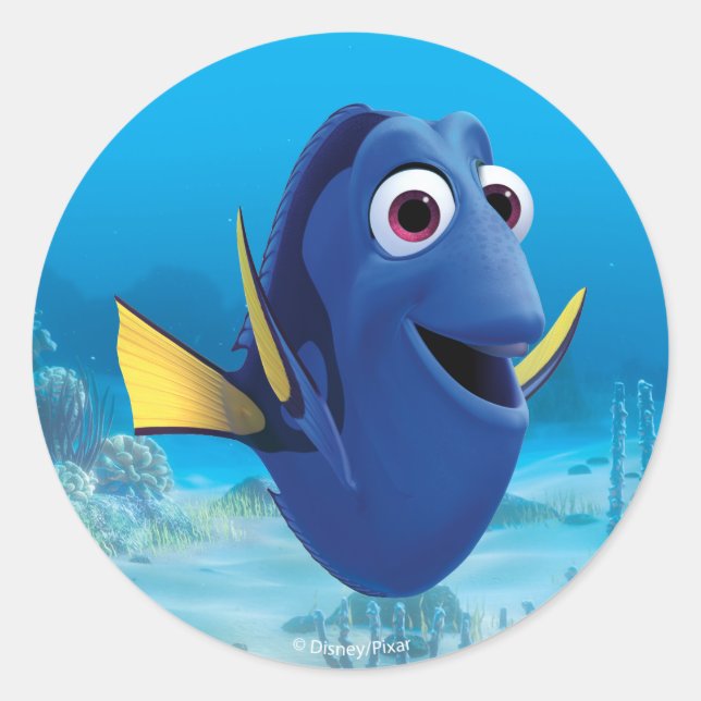 Sticker Rond Dory | Recherche de Dory (Devant)