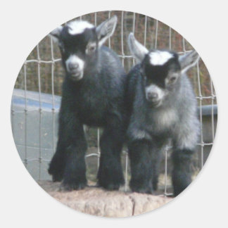 Sticker Rond Double problème