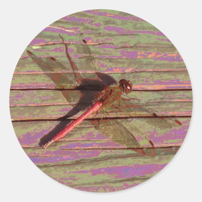 Sticker Rond Dragonfly (Devant)