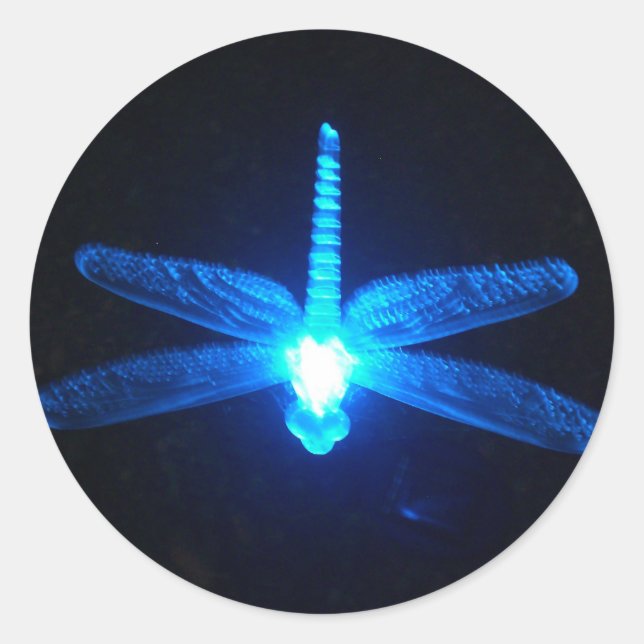 Sticker Rond Dragonfly (Devant)