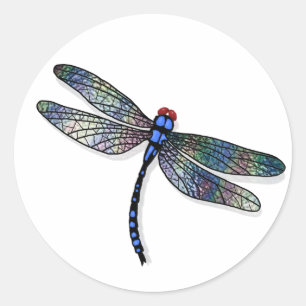 Sticker Rond Dragonfly bleu minimaliste