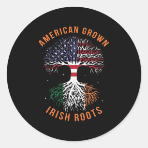 Sticker Rond Drapeau américain de racines irlandaises