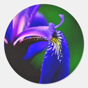 Sticker Rond Drapeau bleu Iris Fleur