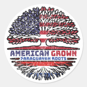 Sticker Rond drapeau paraguayen américain des États-Unis
