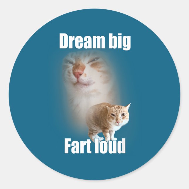Sticker Rond Dream Big Fart Loud Cat Meme Funny Saying  (Devant)