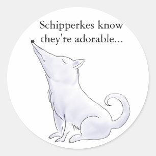 Sticker Rond Drôle Aloof Schipperke Chig Dessin