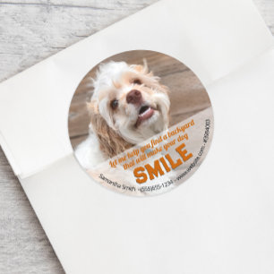 Sticker Rond Drôle Chien Immobilier Pop By