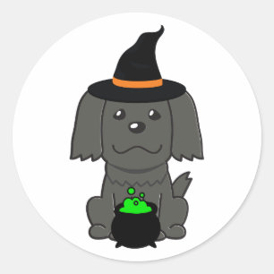 Sticker Rond Drôle chien noir est une sorcière
