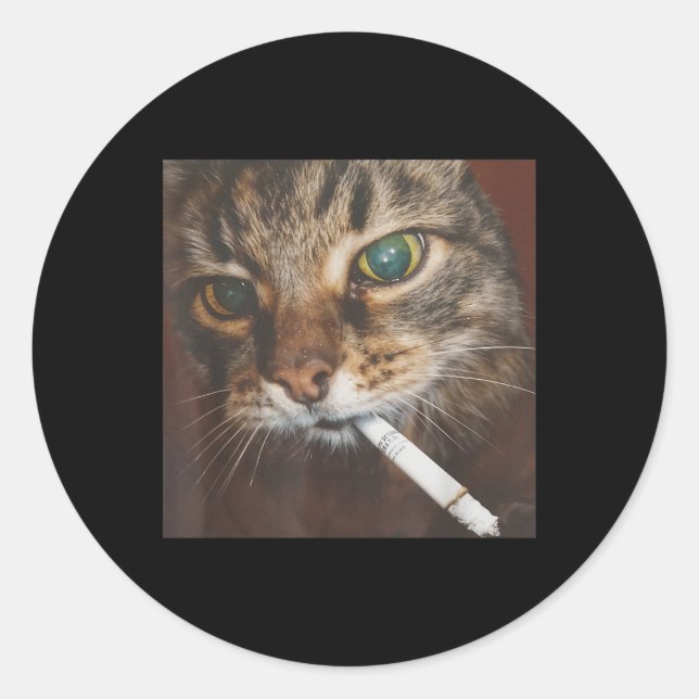 Sticker Rond Drôle Fumer Mème de chat (Devant)