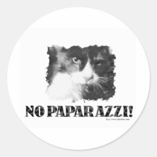 Sticker Rond Drôle Non Paparazzi Chat