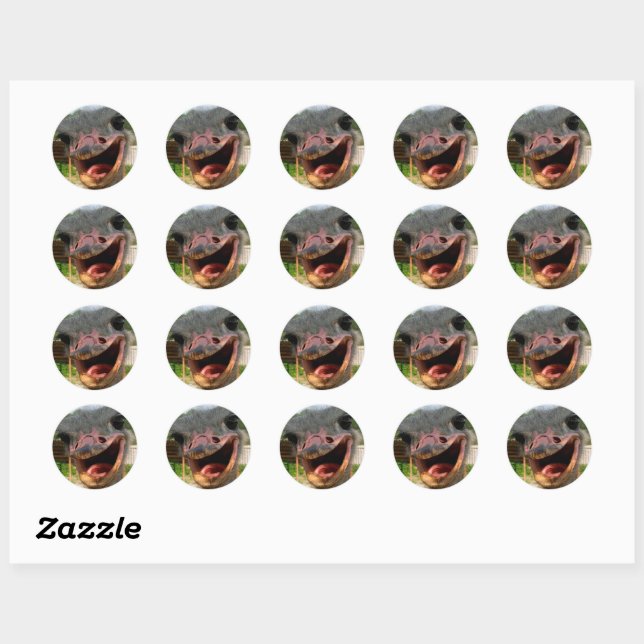 Sticker Rond Drôle Ostrich Bird Photo What's Up (Feuille)