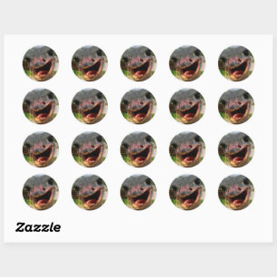 Sticker Rond Drôle Ostrich Bird Photo What's Up