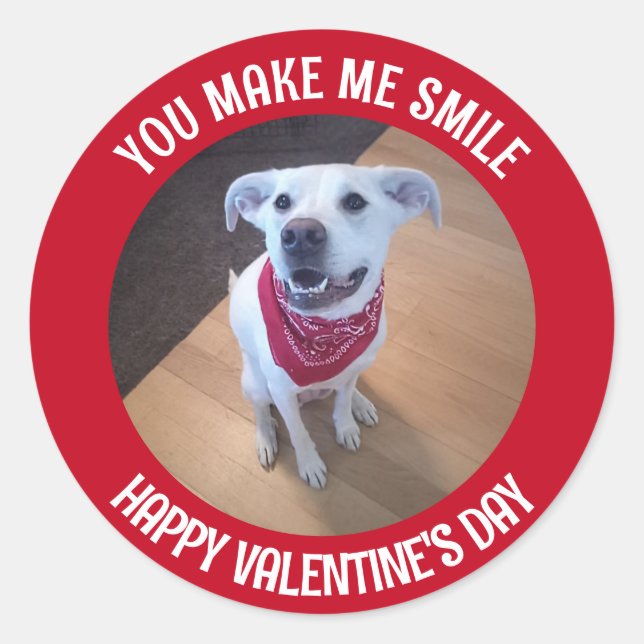 Sticker Rond Drôle Saint Valentin, tu me fais sourire chien (Devant)