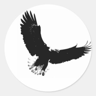 Sticker Rond Eagle chauve en vol