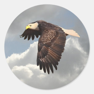 STICKER ROND EAGLE DE MONTÉE