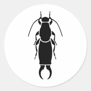 Sticker Rond Earwig