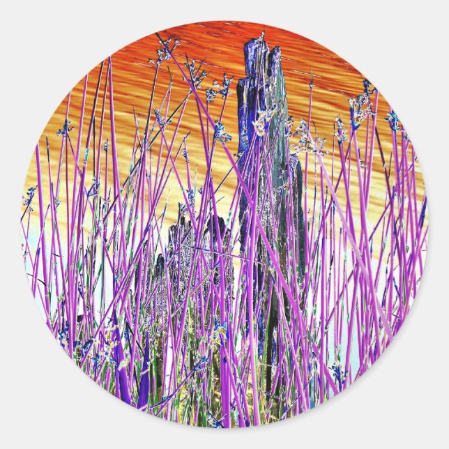 STICKER ROND EAU (Devant)