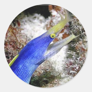 Sticker Rond Eau de ruban