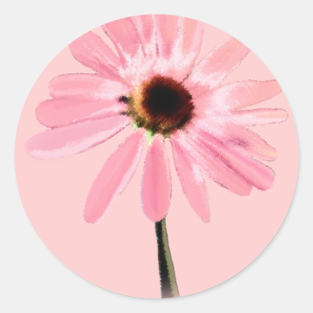 Sticker Rond Echinacea purpurea (Devant)