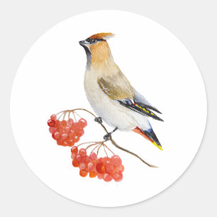 Sticker Rond Écirage d'oiseaux de la forêt d'aquarelle
