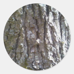 Sticker Rond Écorce d'Hickory Tree Pignut