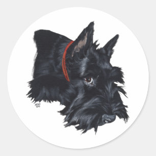 Sticker Rond Ecosse Terrier Repose