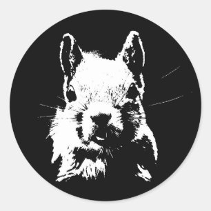 Sticker Rond Écureuil