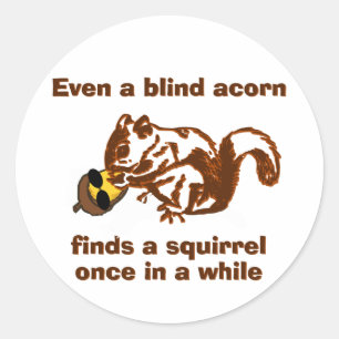 Sticker Rond Écureuil aveugle