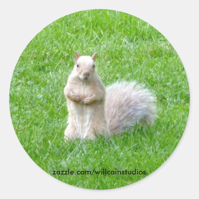 Sticker Rond Écureuil de Blonde (Devant)