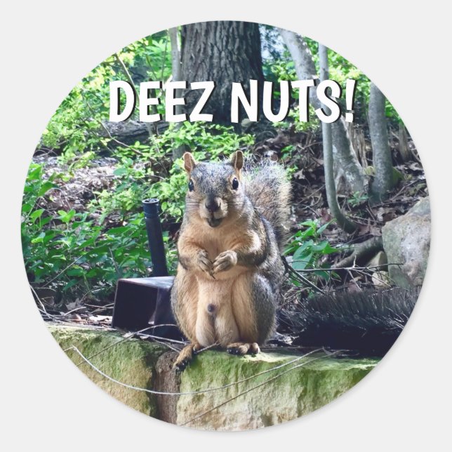Sticker Rond Écureuil Drôle Deez Nuts Humour Inapproprié Photo (Devant)