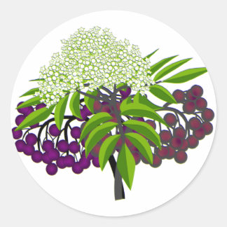 Sticker Rond Elderberry