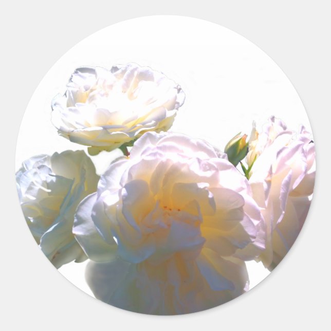 Sticker Rond Elégant blanc pêche orange roses (Devant)