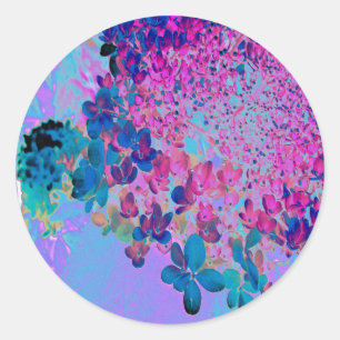 Sticker Rond Élégant bleu foncé et lumière magenta Hydrangea