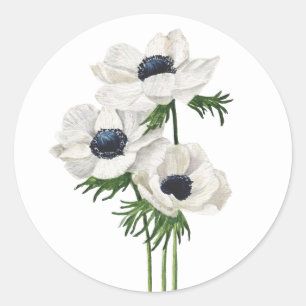 Sticker Rond Elégant bouquet d'anémone blanc
