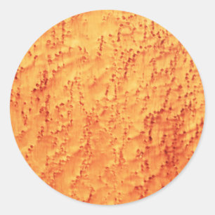 Sticker Rond Elégant Oiseau Maple Wood Grains Motifs