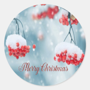 Sticker Rond Elégante Baies Holly, Branches, Vacances Neige