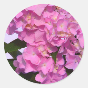 Sticker Rond Elégante florales violettes roses hydrangées