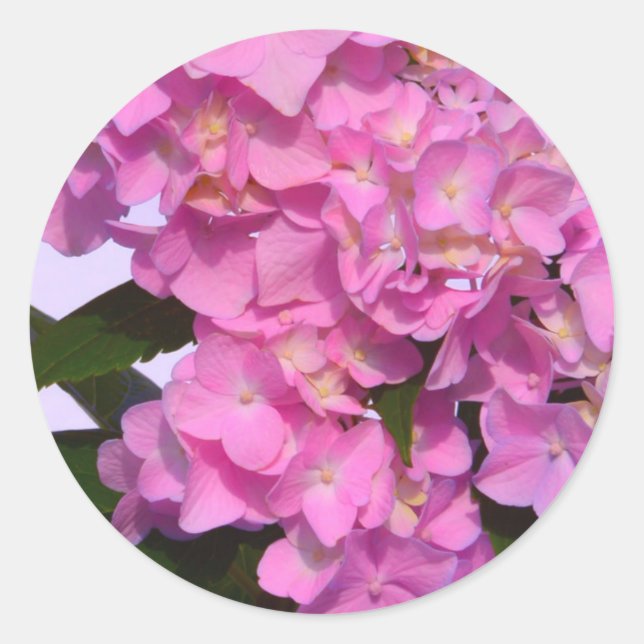 Sticker Rond Elégante florales violettes roses hydrangées (Devant)