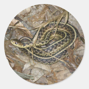 Sticker Rond Eléments de coordination des serpents-garets de l'