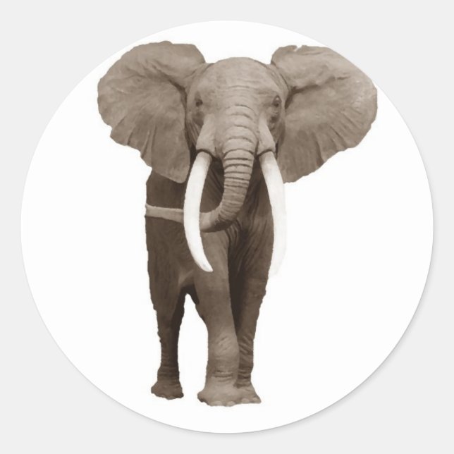 Sticker Rond Eléphant (Devant)