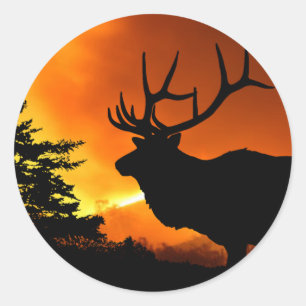 Sticker Rond Elk